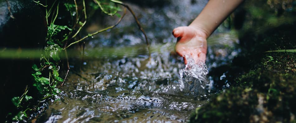 odalie engagement ecologique responsabilite sociale