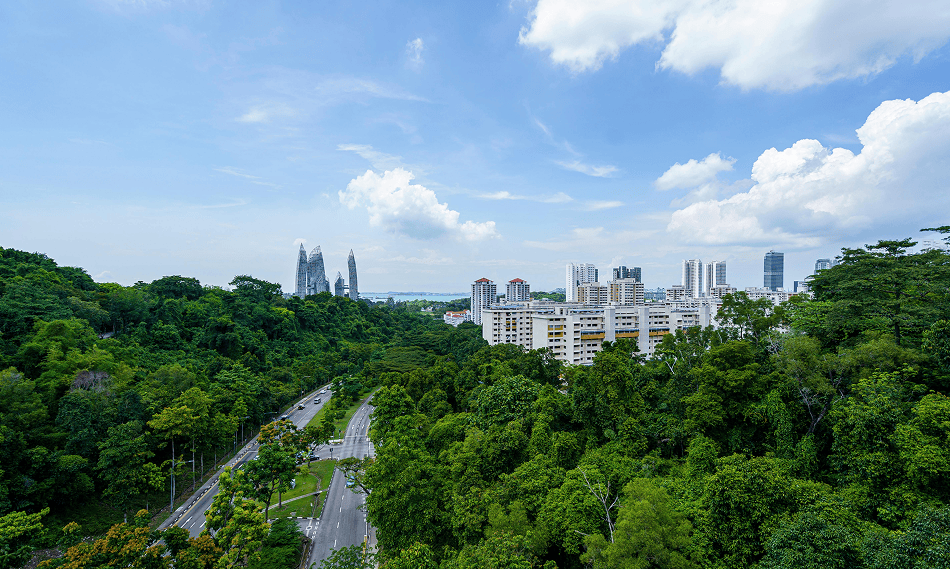 odalie gamme batiments