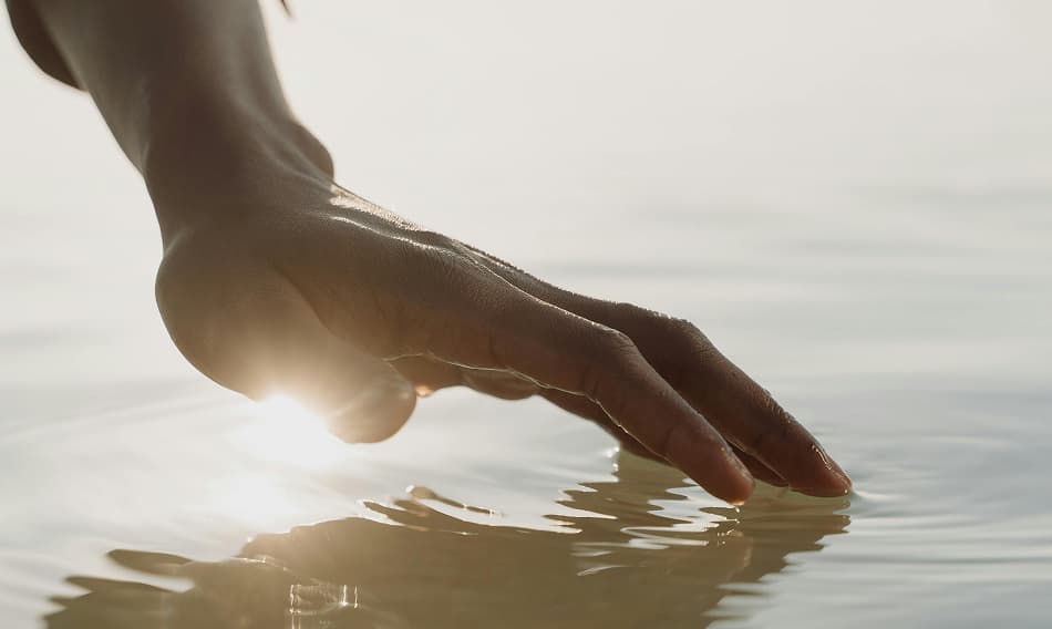 odalie saur pure player